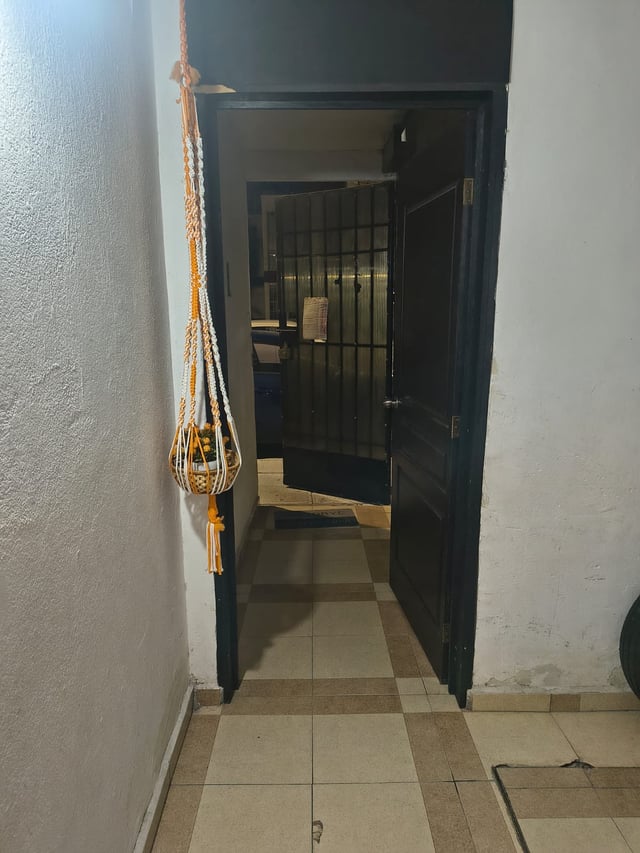 Imagen de la propiedad #12